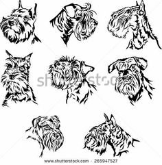 set of black and white schnauzer dogs head silhouettes stock photo royalty