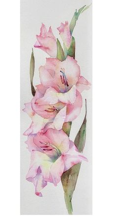 a painting of pink flowers on a white background