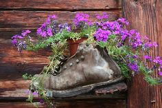 an old boot with flowers growing out of it