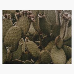 a jigsaw puzzle with many cactuses on it