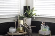 a bathroom sink that has some plants in it and soap dispensers next to it