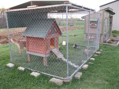 a dog house in the middle of a yard