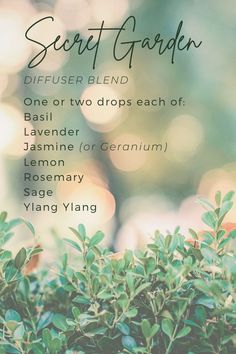 Basil Diffuser Blend, Jasmine Diffuser Blend, Goddess Essential Oil Blend, Sage Essential Oil Blends, Rosemary Essential Oil Blends, Sage Diffuser Blends, Jasmine Essential Oil Blends, Essential Oil Perfume Blends, Rosemary Sage