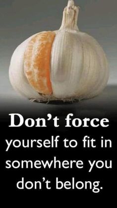 an onion with the caption don't force yourself to fit in somewhere you don't belong