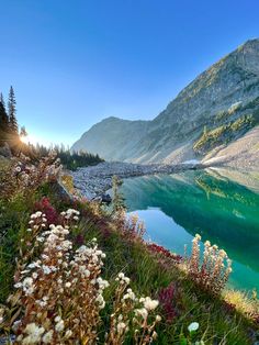 a lake surrounded by mountains and flowers in the foreground