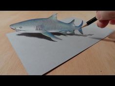 someone is drawing a shark on the paper