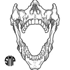 an animal's skull with the lower jaw open and teeth missing, in black and white