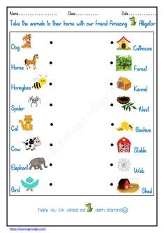 Animal homes worksheet Archives - LearningProdigy Homes Of Animals Worksheet, Worksheet Science For Kindergarten, Science Worksheets For Grade 1, Nursery Syllabus, Habitat Activities, Animals And Their Homes, Geometry Projects, Nursery Worksheets, Kindergarten Phonics Worksheets