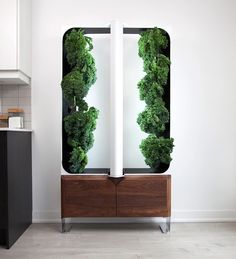 a mirror with some green plants on it in the middle of a white wall and floor