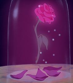 a pink rose in a glass dome with water droplets on the floor and purple background