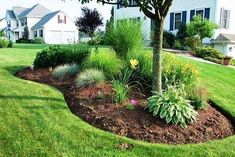 a tree in the middle of a yard with grass and flowers around it, next to a house