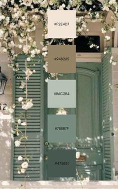 the color scheme for an exterior door with white flowers and green shutters