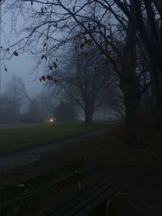 a park bench sitting in the middle of a forest at night with fog on the ground