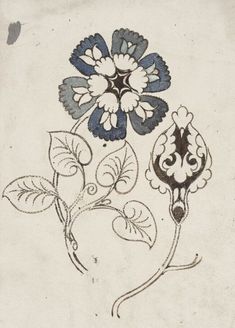 an image of a flower with leaves and flowers on it's side, drawn in black ink