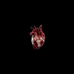 a heart in the dark on a black background