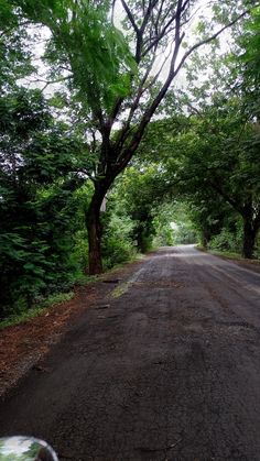 an empty road surrounded by trees and bushes