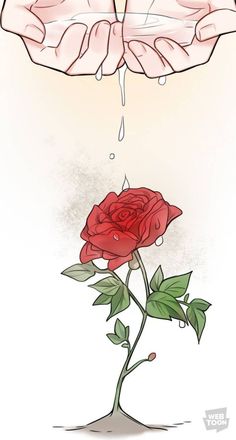 two hands holding a red rose with water dripping from it