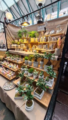 many potted plants are on display in a greenhouse