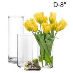 three vases with yellow flowers in them on a white background, one is clear and the other has green stems