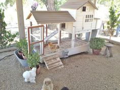 three chickens are standing in front of a chicken coop with stairs leading up to it