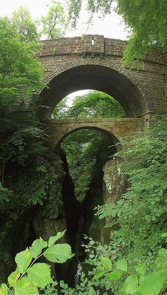 an old stone bridge surrounded by trees and greenery