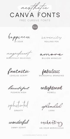 Elevate your art and design projects with Canva's selection of cool cursive fonts. Perfect for artists and designers seeking to add a unique touch to their work, these fonts offer both beauty and functionality. Explore our top choices and start designing today! Learn more about the best fonts and calligraphy ideas and typography inspiration, and wedding fonts at leveeroadstudio.com