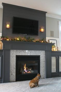 a dog sitting in front of a fireplace with a flat screen tv mounted above it