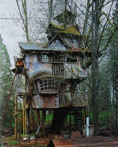 an old tree house in the woods