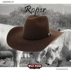 #westpointhats_usa 
It’s on u
#felthat #felthats #roper #chocolate #brown 
#westpointhats🤠 
#sombreroswestpoint 
#sombrero #westpoint 

Wapp 4761233084
tienda.westpointhats.com 
westpointhats.com 

#hot #hat #cowboyhat 
#cowboyhats Chocolate Brown