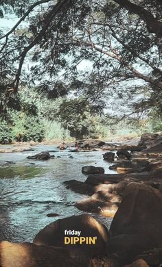 a river with rocks and trees in the background