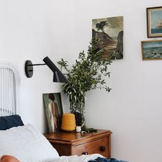 a bedroom with a bed, plant and pictures on the wall