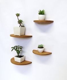 three wooden shelves with plants on them