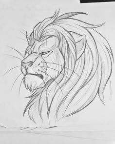 a pencil drawing of a lion's head