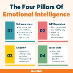 the four pillars of emotional inteliligence infographical poster with information about self - regulation