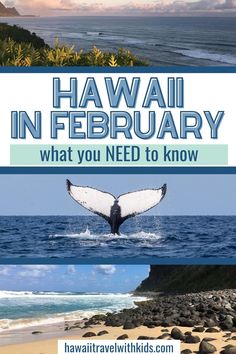 the cover of hawaii in february, what you need to know