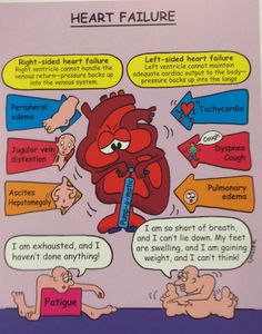 Nursing pathophysiology Nursing Board, Cardiac Nursing, Nursing School Survival, Critical Care Nursing