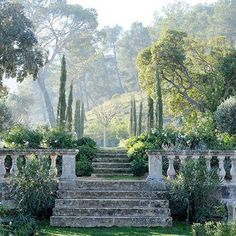 an outdoor garden with steps leading up to the trees and bushes on either side, surrounded by greenery