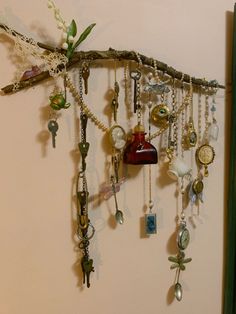 there is a tree branch with many different items hanging from it's branches and attached to the wall