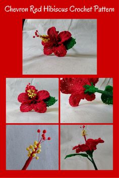 crocheted red hibiscus flower pattern with four different stages to make it