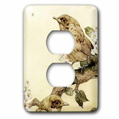 a light switch cover with two birds sitting on a branch and flowers in the background