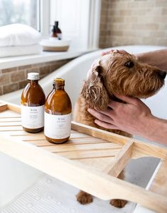 a person is holding a dog in a bathtub with two bottles next to it