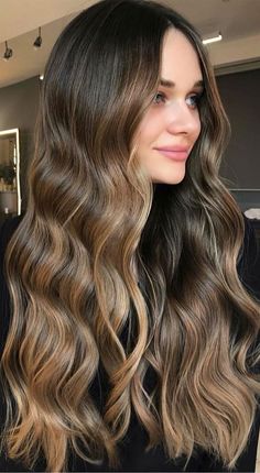 Blended Hair, Brown And Blonde, Warm Brown Hair, Dye Ideas