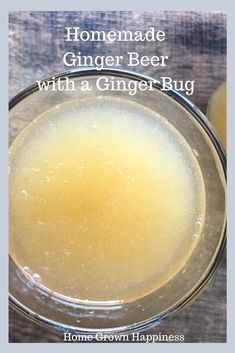 homemade ginger beer with a ginger - bug recipe in a glass bowl on a wooden table