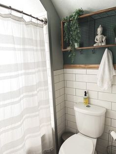 a white toilet sitting next to a shower in a bathroom under a shelf filled with plants