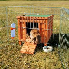 a cat in a cage with its head inside the door and food bowl on the floor