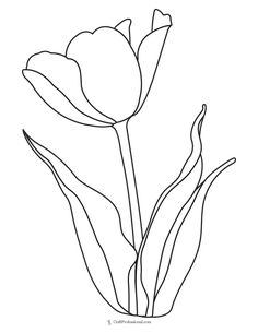 a black and white line drawing of three tulips in a vase with leaves