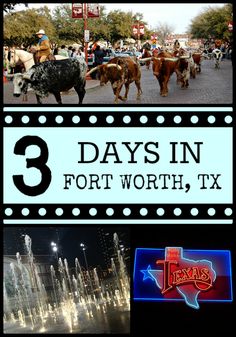 three days in fort worth, tx with images of horses and water fountains at night