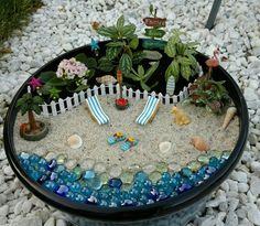 there is a small garden with rocks and plants in the bowl on the gravel ground