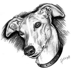 a drawing of a dog with a collar on it's head, looking to the side