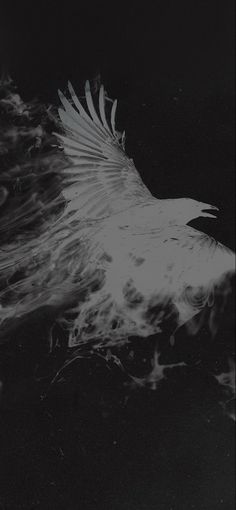 a black and white photo of a bird flying in the sky